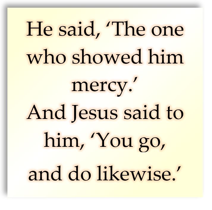 15th Sunday 2025